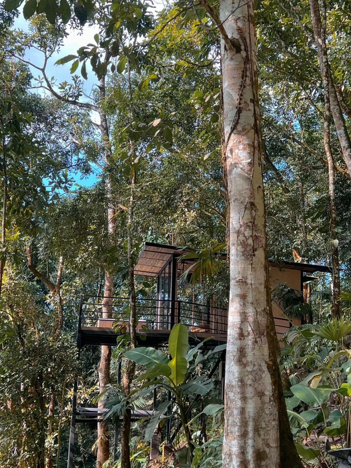Hotel Rincon De La Sierra Minca Exteriér fotografie