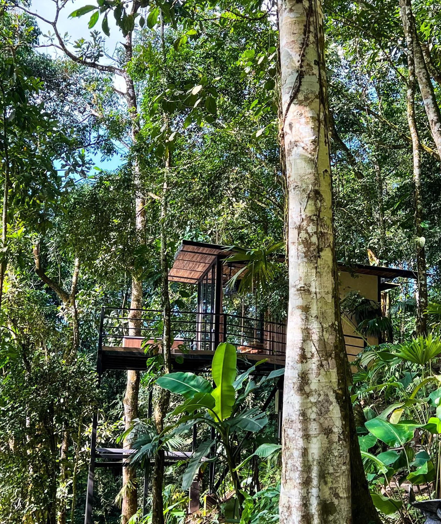 Hotel Rincon De La Sierra Minca Exteriér fotografie